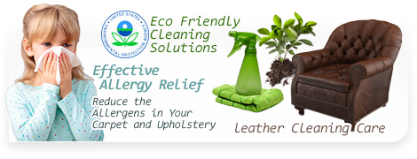 green cleaning solutions